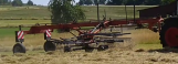 Andex 773